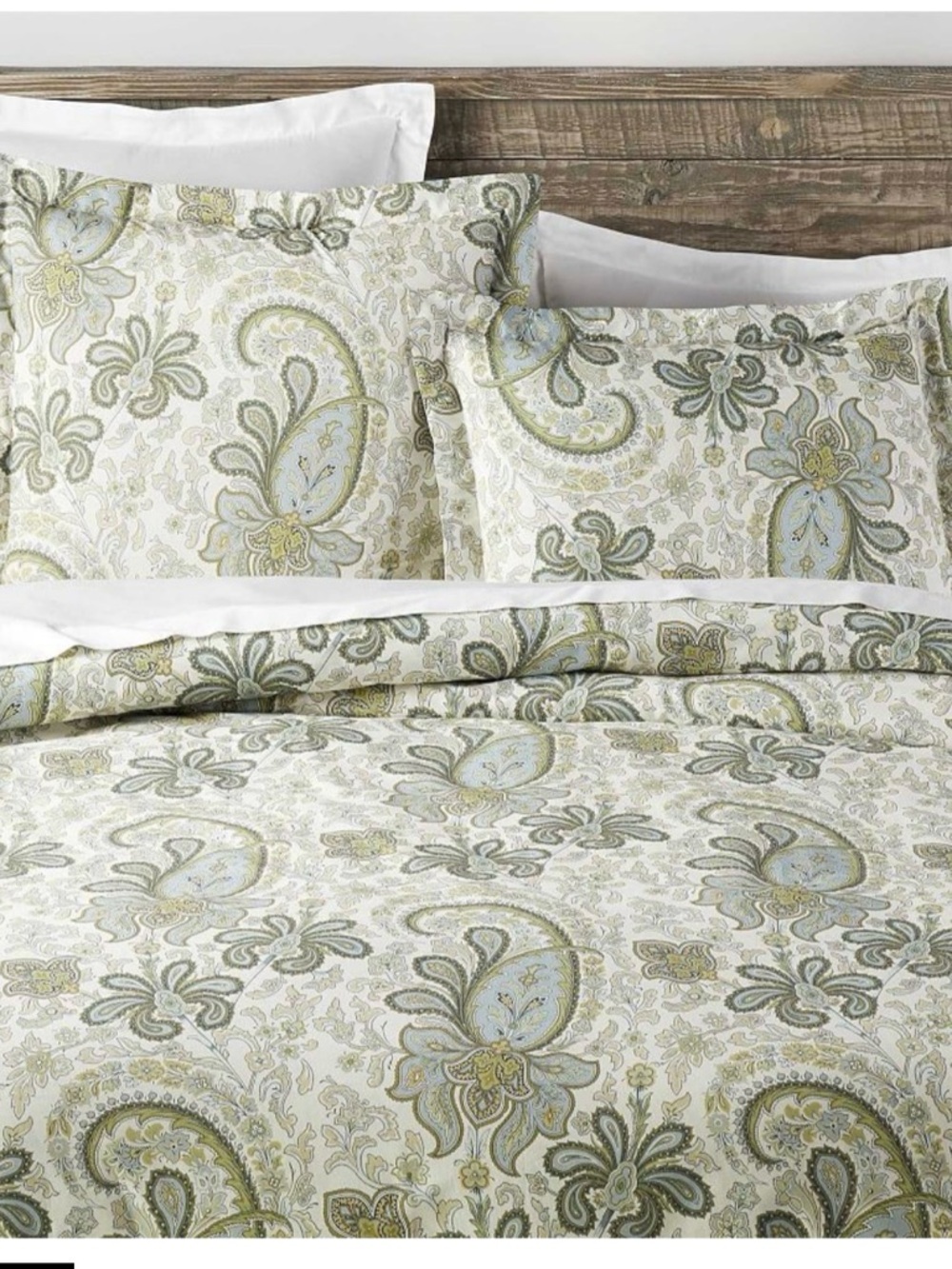 Pottery Barn King Duvet and Standard Sham